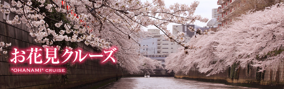 お花見クルーズ